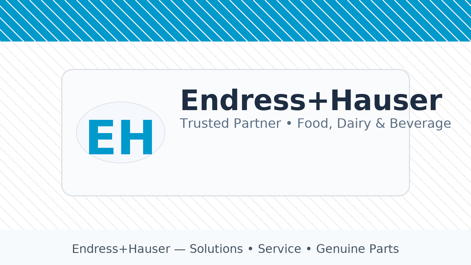 Endress+Hauser – Trusted Partner